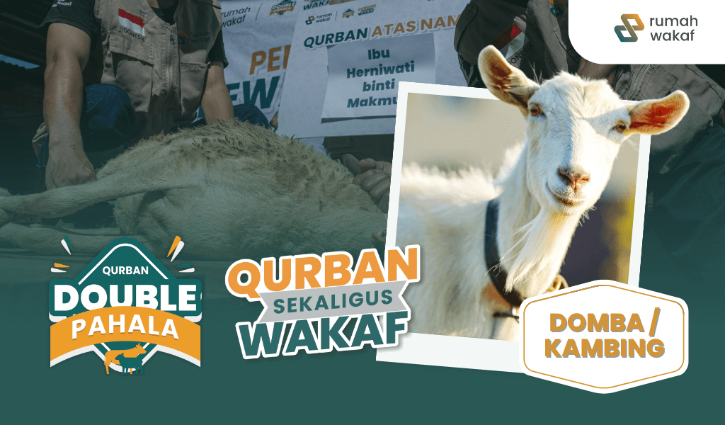 Qurban Domba / Kambing